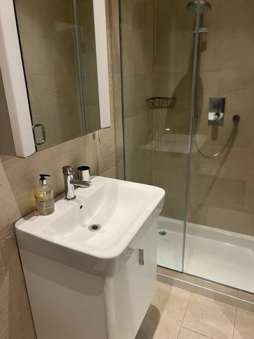 לונדון Four Bedroom Modern Victorian Wandsworth House מראה חיצוני תמונה